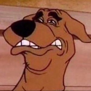 Meet your Posher, Weston